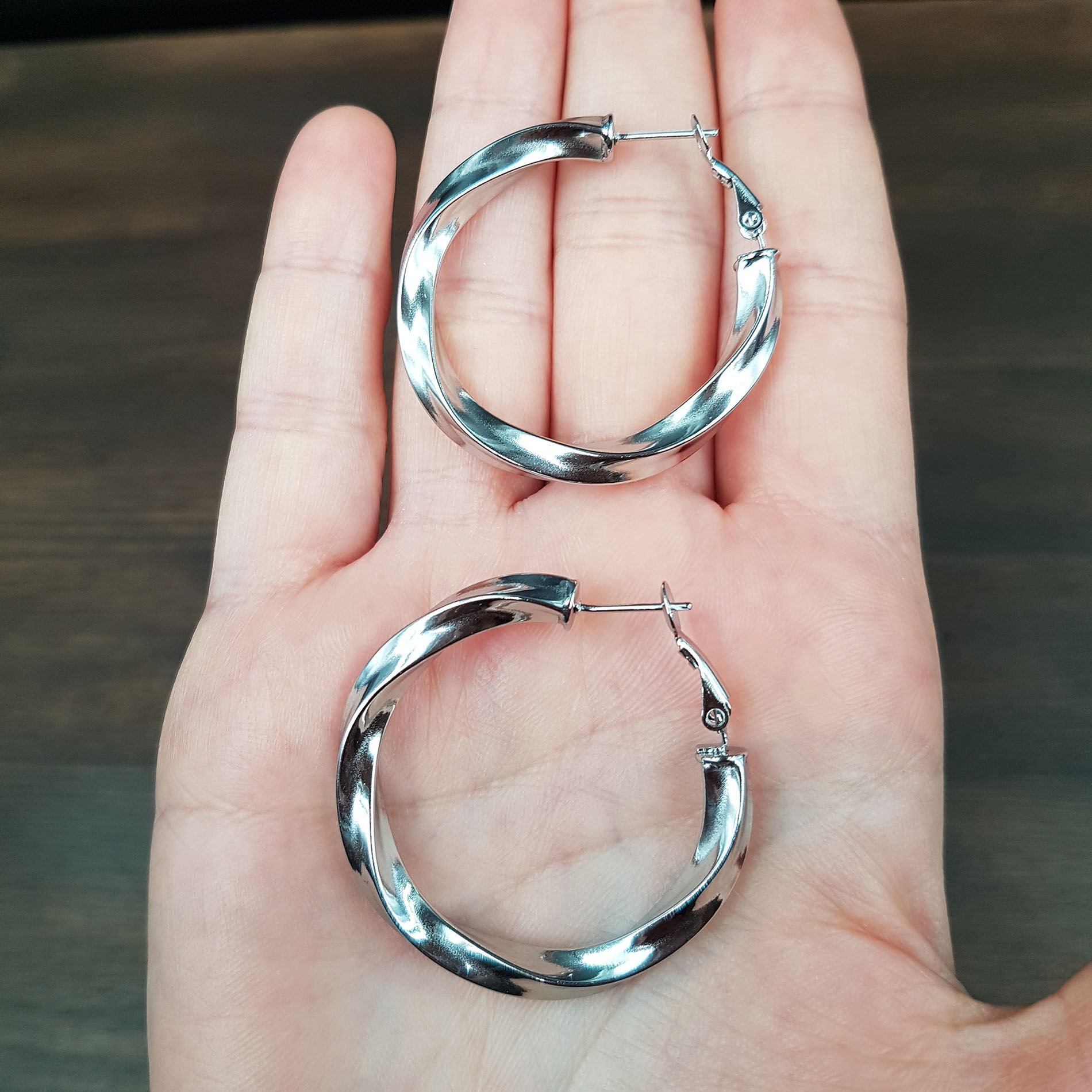 Burgu Halka Tasarım Kadın Çelik Küpe